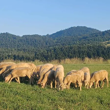 Na Lakach 别墅 Grywald