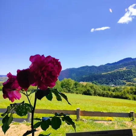 Na Lakach * Grywald
