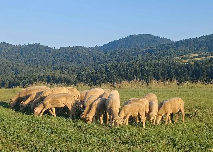 Na Lakach 别墅 Grywald